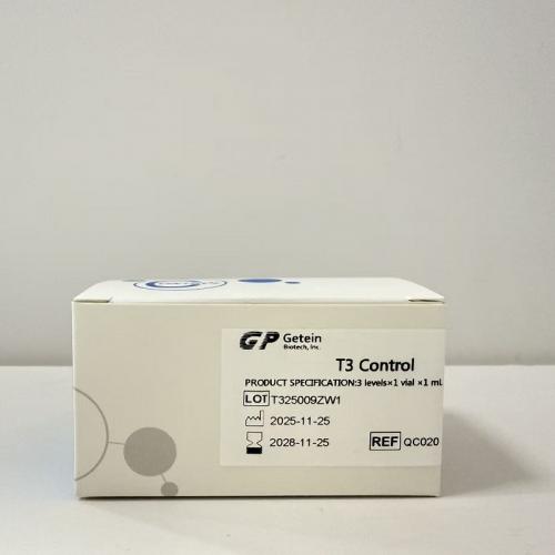 T3