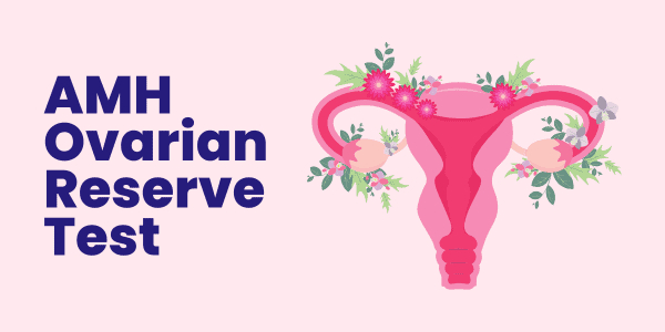 Do you want to know your ovarian age?