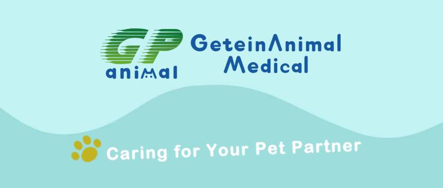 【Getein Animal】Caring For Your Pet Partner