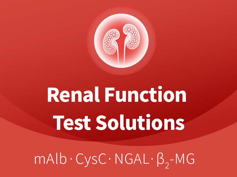 Renal Function Solution