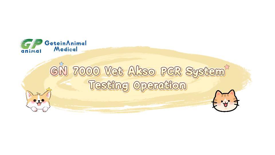 GN 7000 Vet Akso PCR System Testing Operation